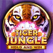 Cookie bên thứ ba và đối tác quảng cáo của 97win11